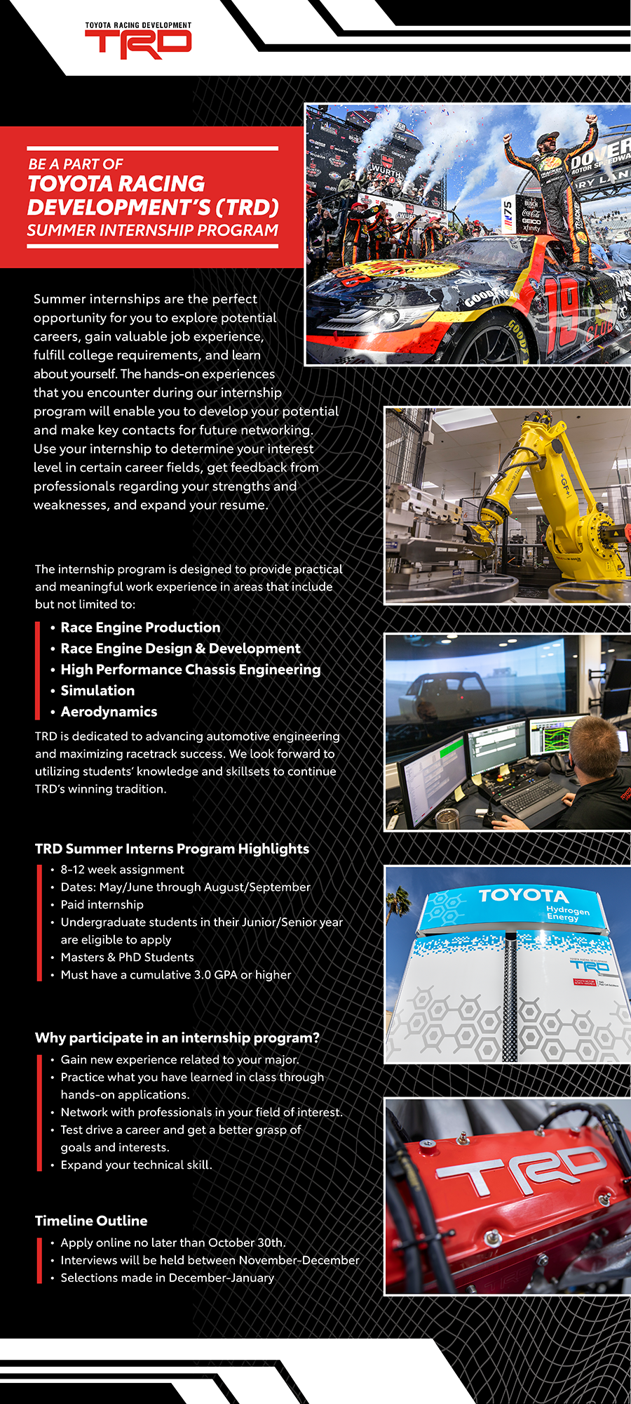 TRD Summer Internship Digital Brochure